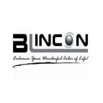 blincon cosmetic contact lenses