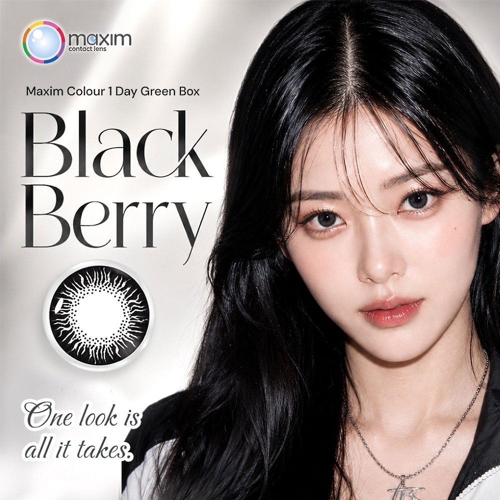 Maxim Colour 1Day Green Box Black Berry Color Maxim Colour 1Day Green Box Black Berry Color