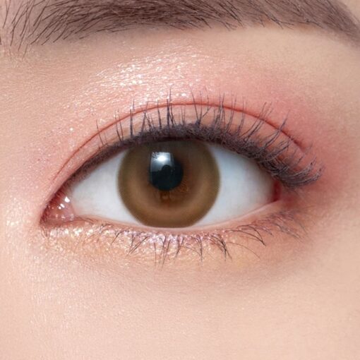 1Day Cherry Moon Brown