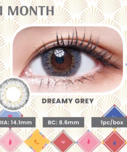 Eye Secret Monthly Color Dreamy Grey